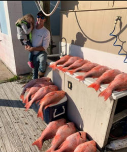 Port Aransas Red Snapper Haven